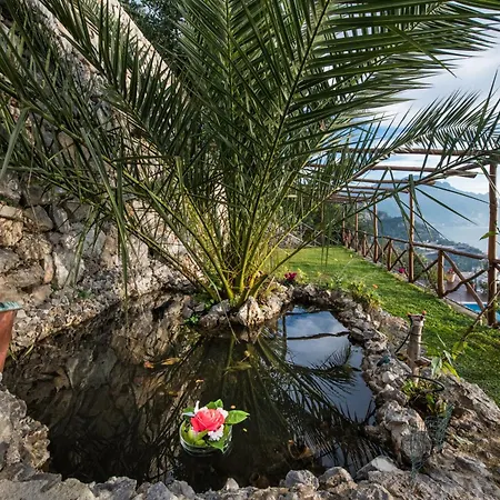 H.h.le Palme Nocleg ze śniadaniem Amalfi