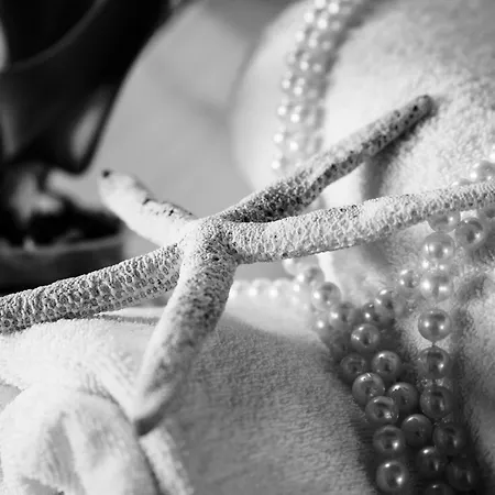 Panzió H.h.le Palme