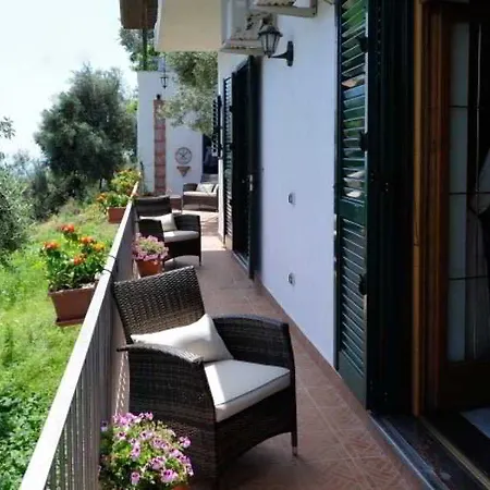 H.h.le Palme 2* Amalfi