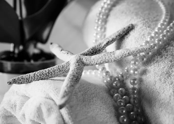 ベッド・アンド・ブレックファスト H.h. ル パルメ